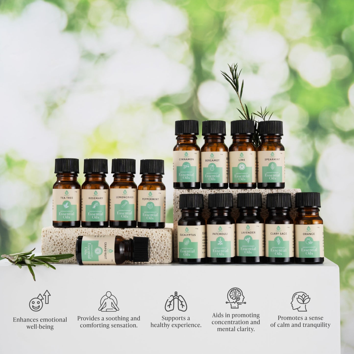Seasonal Scents Christmas Essential Oils Collection-1